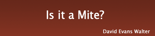 Is it a Mite?, by David Evans Walter