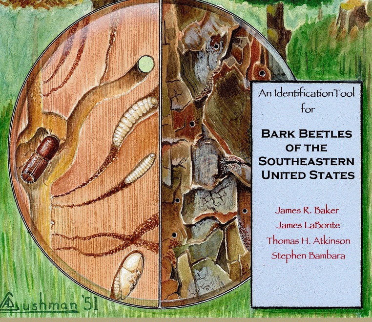 water color and title: bark beetles of the southeastern U.S. by James R. Baker