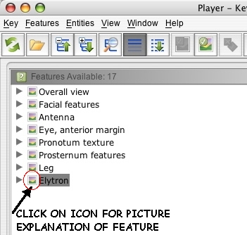 click on icons