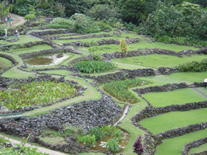 Terraces at Limahuli Garden, NTBG, Kauai