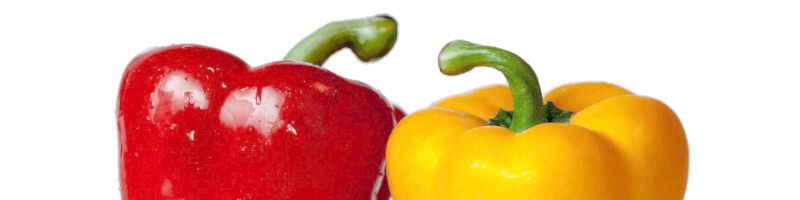 Common Wyoming Pepper Plant Pest Identification Key Search